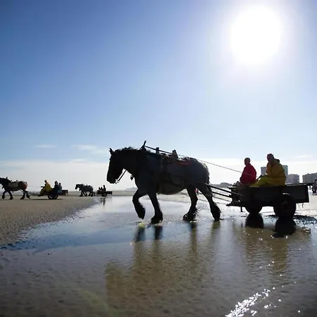 Apartmán In By The Sea