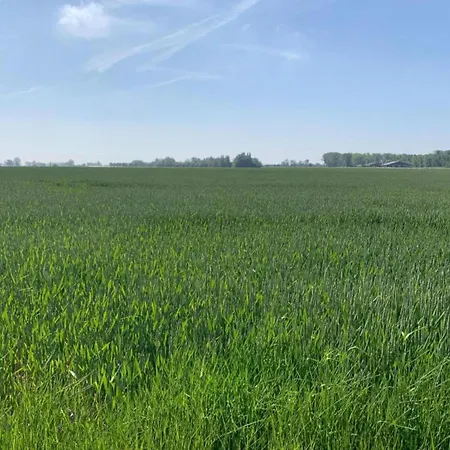 In By The Sea Appartement