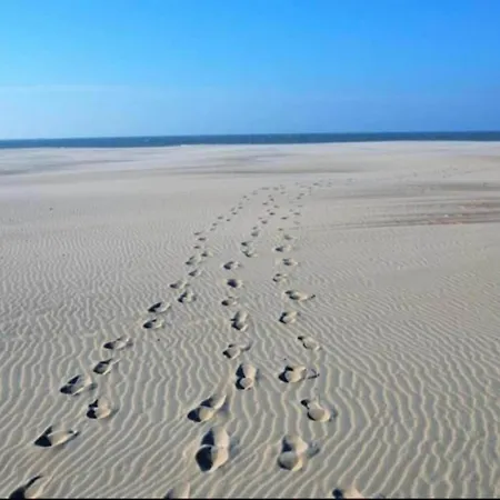 Appartement In By The Sea Nieuwpoort